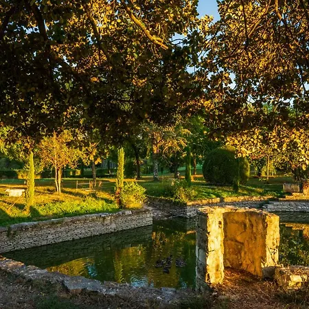 Domaine Des Ormeaux * Ajat