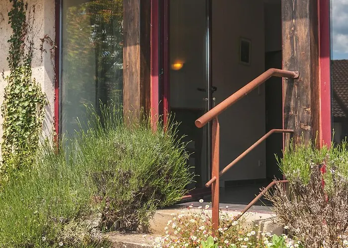 Domaine Des Ormeaux Ajat